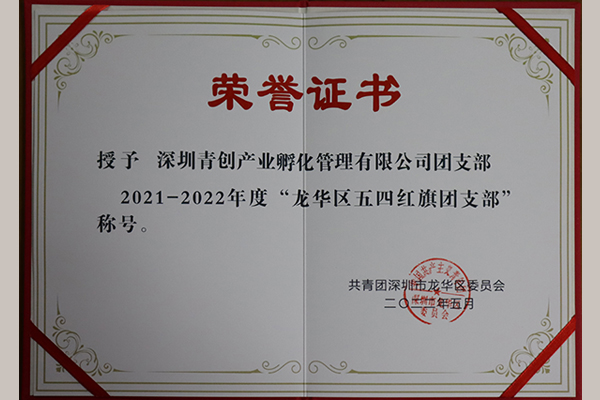 龙华区五四红旗团支部19