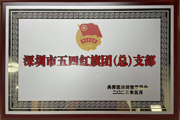 深圳市五四红旗团（总）支部28