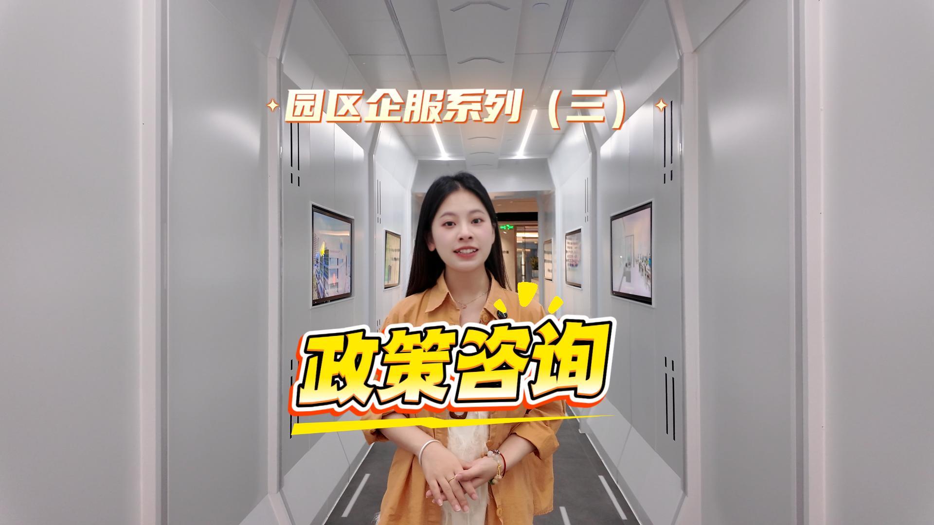政策咨询